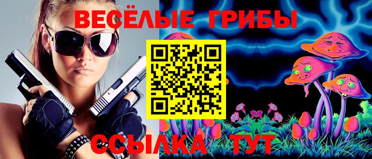 наркота  Вход с VPN  Удомля  Псилоцибиновые грибы Cubensis 